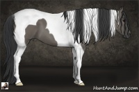Horse Color:Grullo Tobiano 