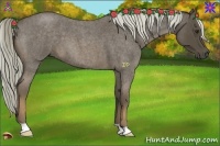 Horse Color:Liver Red Roan 