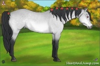 Horse Color:Bay Chinchilla Roan