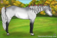 Horse Color:Silver Bay Chinchilla
