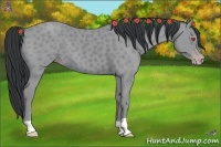 Horse Color:Classic Champagne Chinchilla 