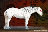 Horse Color:White Spotted Liver Chestnut Pearl Tobiano Blanket and White Spotted Liver Chestnut Pearl Tobiano Blanket