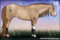 Horse Color:Liver Chestnut Pearl  and Liver Chestnut Pearl 