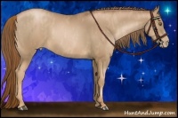 Horse Color:Liver Chestnut Pearl  Brindle