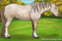 Horse Color:Liver Red Roan Pearl  and Liver Red Roan Pearl