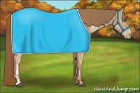 Horse Color:Liver Chestnut Pearl  and Liver Chestnut Pearl 