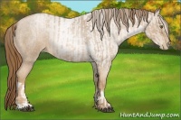 Horse Color:Liver Red Roan Pearl  and Liver Red Roan Pearl 