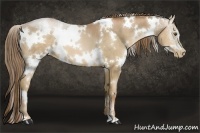 Horse Color:White Spotted Liver Chestnut Pearl  Brindle