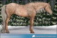 Horse Color:Liver Chestnut Ice Pearl  and Liver Chestnut Ice Pearl 