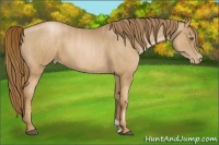 Horse Color:Liver Chestnut Pearl  Brindle