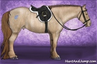 Horse Color:Liver Red Roan Pearl  Brindle