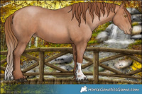 Horse Color:Brown Pearl and Brown Pearl