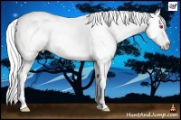 Horse Color:Silver Classic Champagne Chinchilla Pearl Onyx Splash and Silver Classic Champagne Chinchilla Pearl Onyx Splash