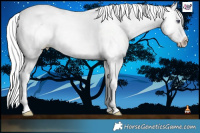 Horse Color:Silver Classic Champagne Chinchilla Pearl Onyx Splash  and Silver Classic Champagne Chinchilla Pearl Onyx Splash 