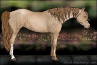 Horse Color:Liver Chestnut Pearl  and Liver Chestnut Pearl 