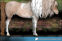 Horse Color:Liver Red Roan Pearl Tobiano Brindle