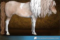 Horse Color:Liver Red Roan Pearl Tobiano Brindle