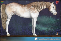 Horse Color:White Spotted Liver Red Onyx Pearl and White Spotted Liver Red Onyx Pearl