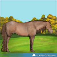 Horse Color:Brown Pearl and Brown Pearl