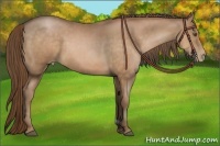 Horse Color:Bay Pearl  and Bay Pearl 