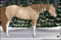 Horse Color:White Spotted Liver Chestnut Pearl Sabino  and White Spotted Liver Chestnut Pearl Sabino