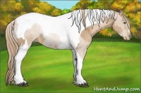 Horse Color:Liver Chestnut Pearl Tobiano and Liver Chestnut Pearl Tobiano