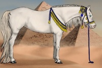 Horse Color:Perlino 