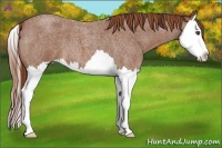 Horse Color:Red Roan Splash 
