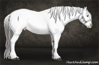 Horse Color:Liver Red Onyx Appaloosa