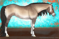 Horse Color:Bay Onyx 