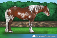 Horse Color:Silver Brown Ice Tobiano 