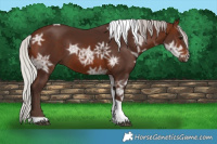 Horse Color:Silver Brown Ice Tobiano