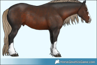 Horse Color:Liver Chestnut Rabicano 