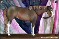 Horse Color:White Spotted Liver Chestnut Sabino Splash Rabicano