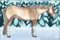 Horse Color:Liver Red Onyx Pearl Brindle