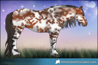 Horse Color:White Spotted Bay Tobiano Frame