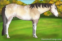 Horse Color:White Spotted Amber Cream Champagne Onyx