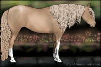 Horse Color:Liver Chestnut Pearl 