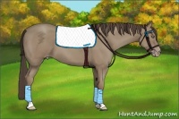 Horse Color:Classic Champagne 