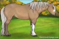 Horse Color:Silver Buckskin