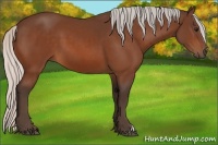 Horse Color:Silver Bay