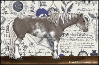 Horse Color:White Spotted Silver Black Splash Tobiano Frame 