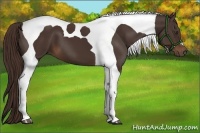 Horse Color:Liver Chestnut Tobiano 
