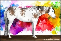 Horse Color:White Spotted Buckskin Splash 