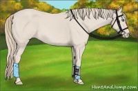 Horse Color:Smoky Creme 