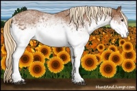 Horse Color:White Spotted Chestnut 