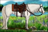 Horse Color:Smoky Creme Roan Dun