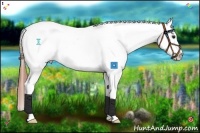 Horse Color:Bay Dun Splash Snowflake Varnish 