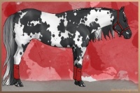 Horse Color:White Spotted Black 