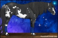 Horse Color:White Spotted Black Frame 